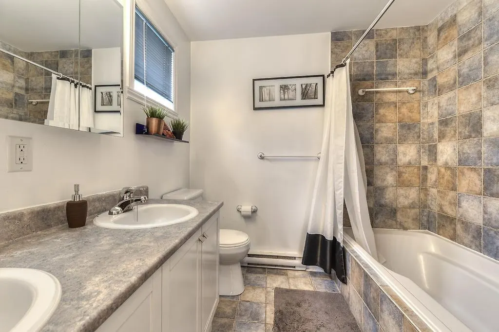 1535 Rue St Jacques Hotel Montreal Apartment